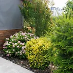 Studio Apartman Summer Flower