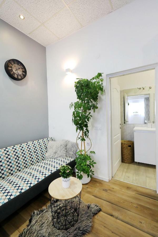 Apartment Summer Flower